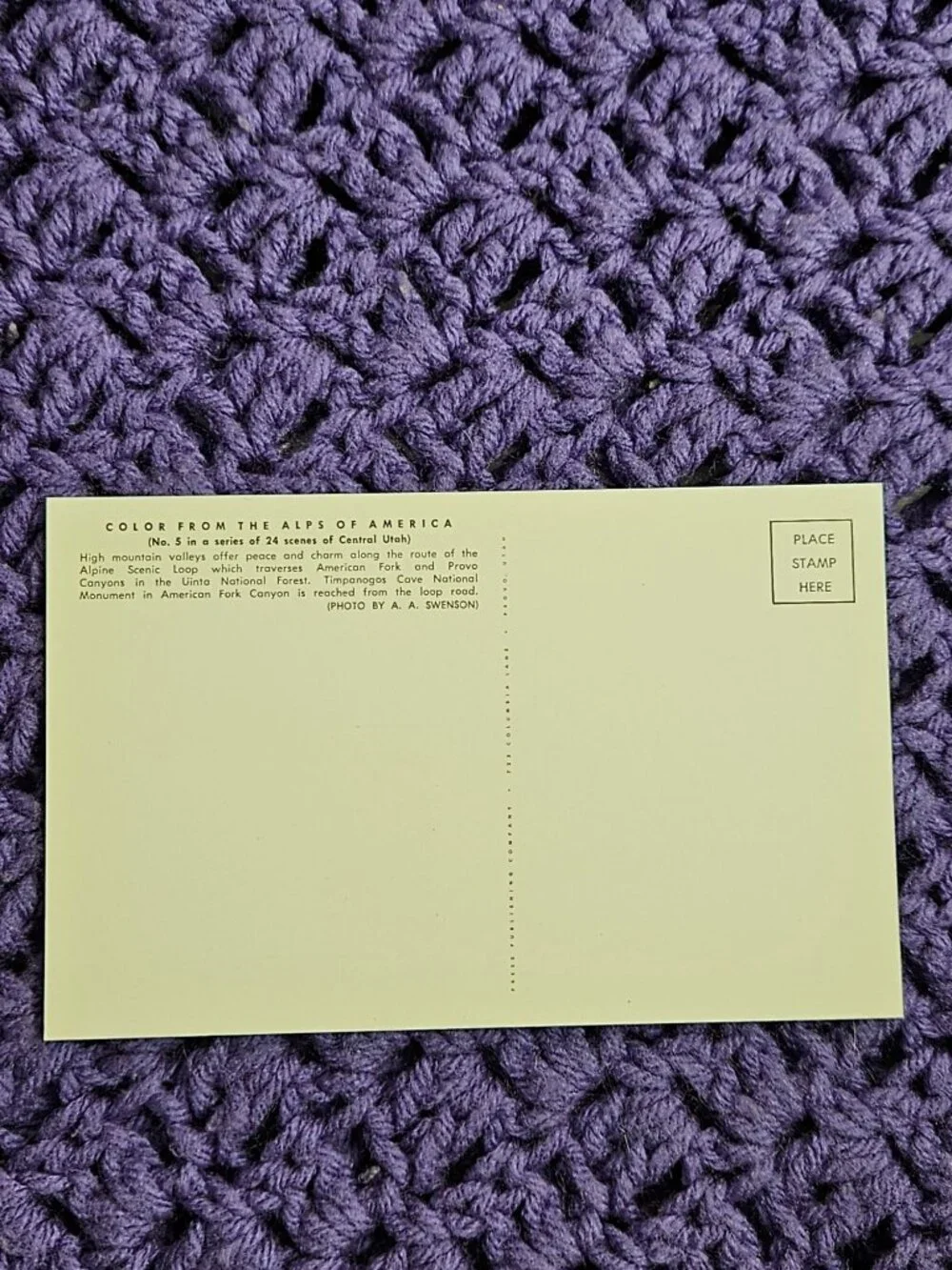 Color from the Alps of America No. 5 Postcard
